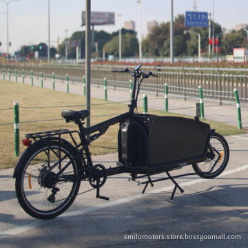 cargo bike long distance cargo bike cargo electric